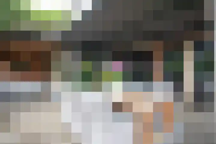 Reeststraat 29 Almelo thumbnail 4