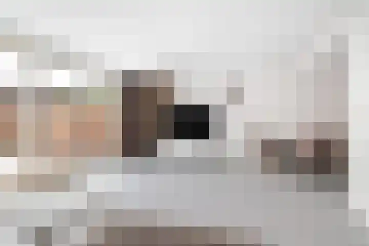Reeststraat 29 Almelo thumbnail 40