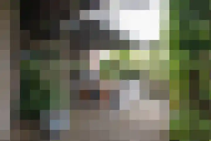 Reeststraat 29 Almelo thumbnail 48