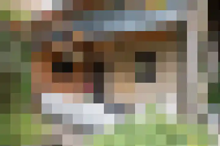 Reeststraat 29 Almelo thumbnail 49