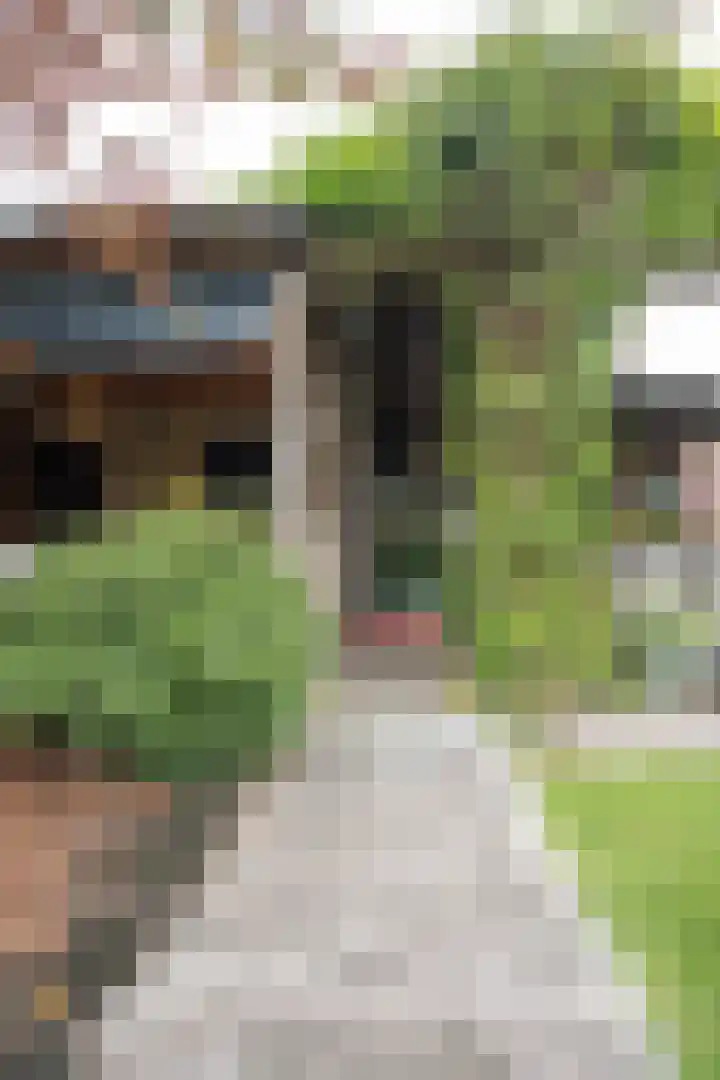 Reeststraat 29 Almelo thumbnail 50