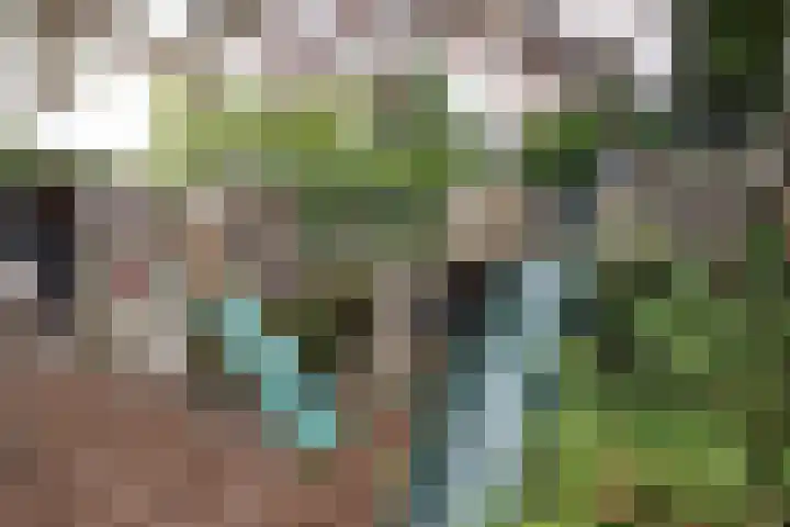 Reeststraat 29 Almelo thumbnail 52