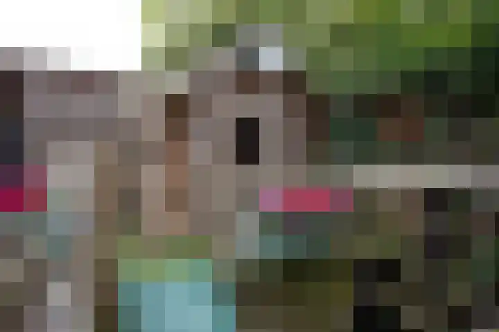 Reeststraat 29 Almelo thumbnail 53
