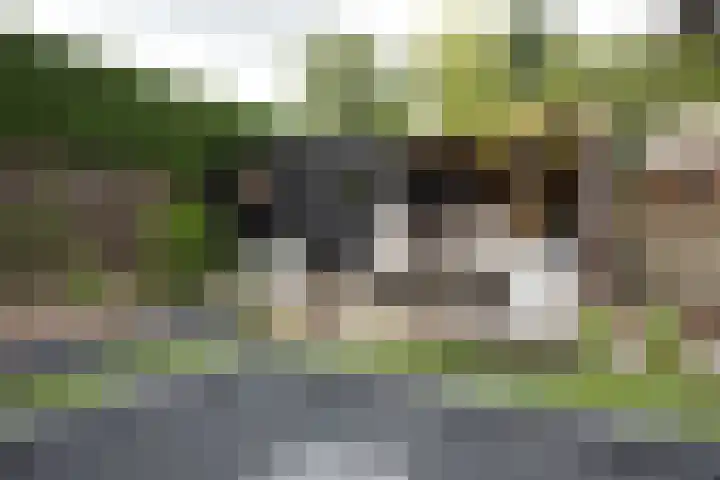 Reeststraat 29 Almelo thumbnail 54
