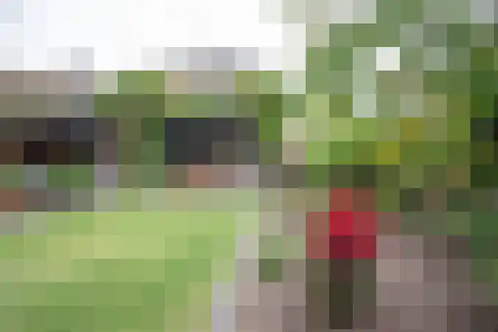 Reeststraat 29 Almelo thumbnail 55