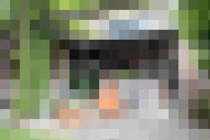 Reeststraat 29 Almelo thumbnail 58