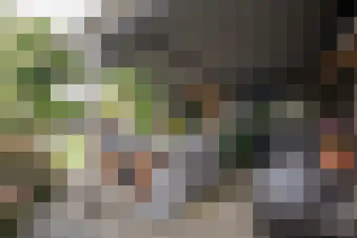Reeststraat 29 Almelo thumbnail 59