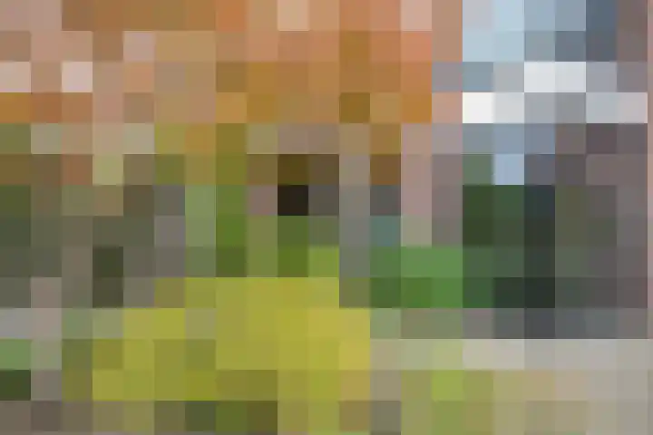 Reeststraat 29 Almelo thumbnail 65