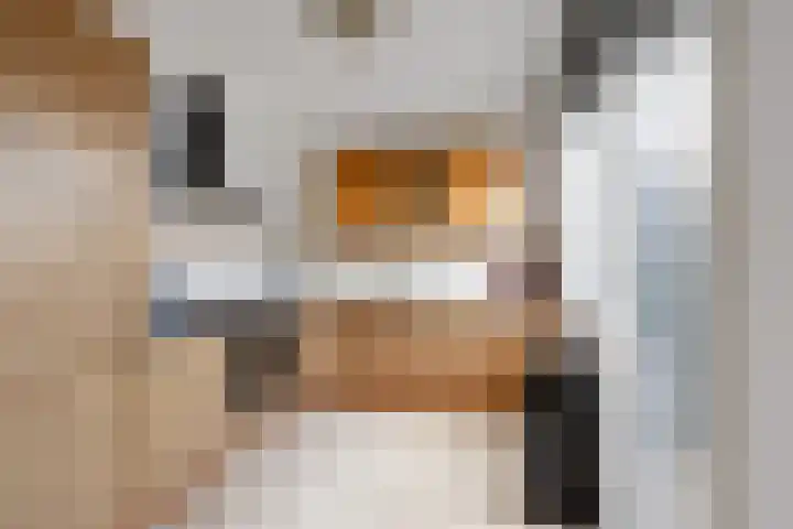 Reeststraat 29 Almelo thumbnail 7