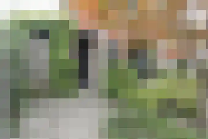 Reeststraat 29 Almelo thumbnail 7