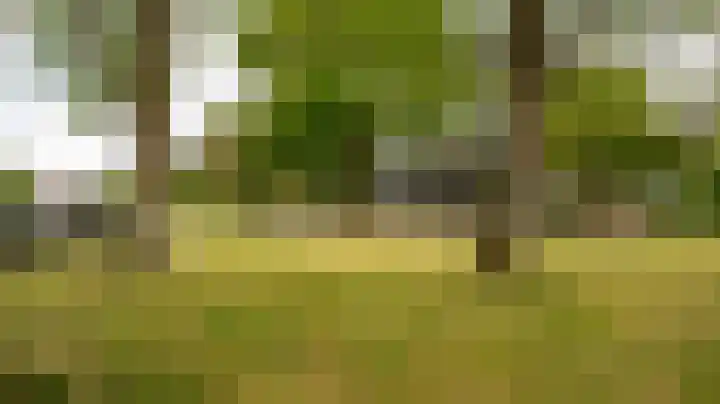 Reeststraat 3 Almelo thumbnail 28