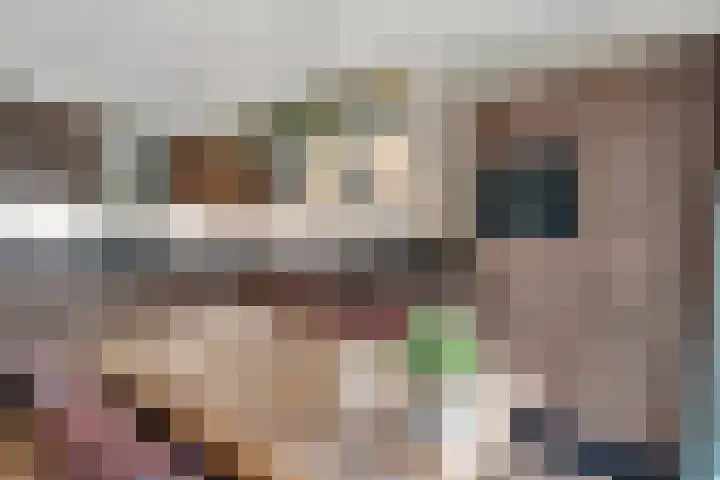 Reestweg 2 Drogteropslagen thumbnail 10
