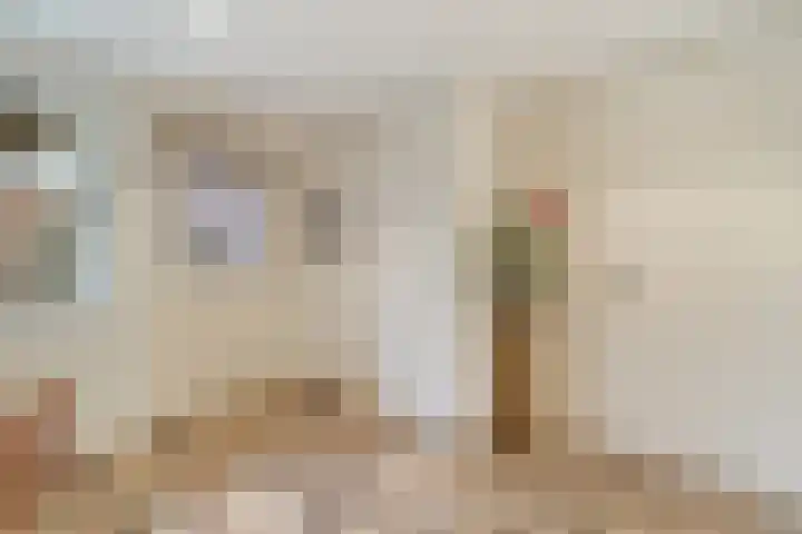 Reestweg 2 Drogteropslagen thumbnail 20