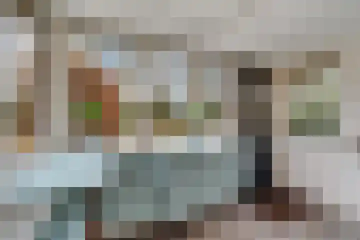 Reestweg 2 Drogteropslagen thumbnail 22