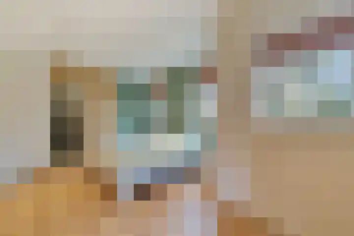 Reestweg 2 Drogteropslagen thumbnail 24