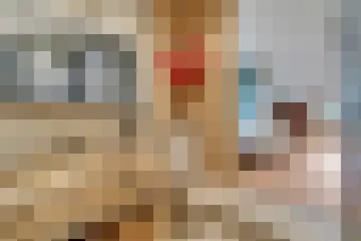 Reestweg 2 Drogteropslagen thumbnail 27
