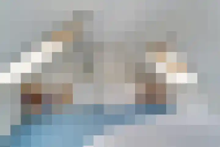 Reestweg 2 Drogteropslagen thumbnail 31