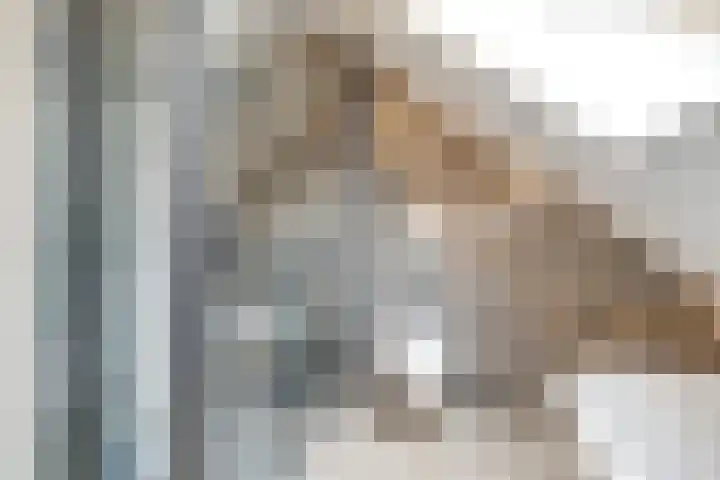 Reestweg 2 Drogteropslagen thumbnail 33