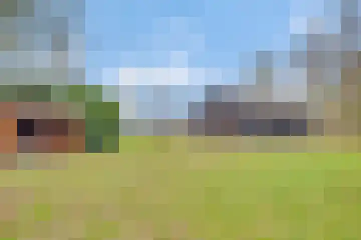 Reestweg 2 Drogteropslagen thumbnail 4