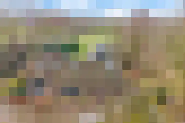 Reestweg 2 Drogteropslagen thumbnail 40