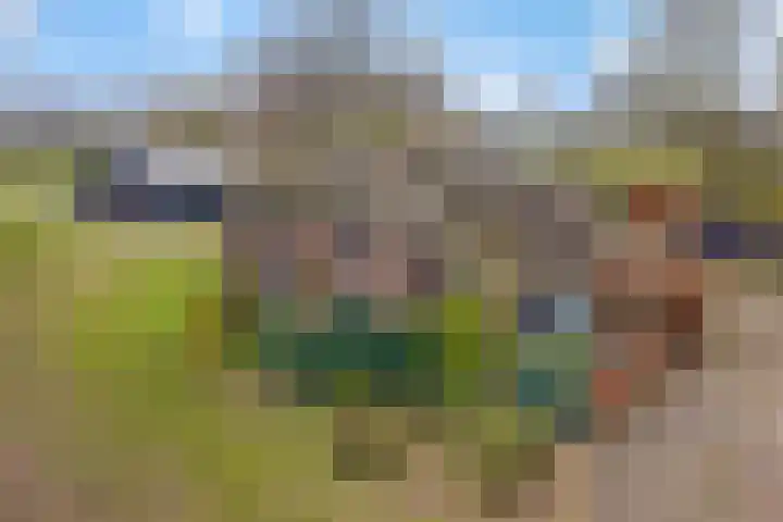 Reestweg 2 Drogteropslagen thumbnail 41