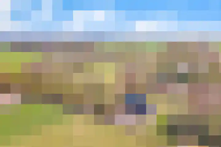 Reestweg 2 Drogteropslagen thumbnail 42