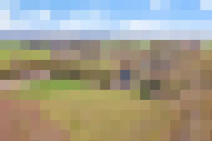 Reestweg 2 Drogteropslagen thumbnail 43