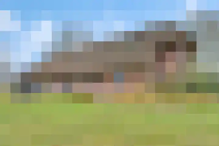 Reestweg 2 Drogteropslagen thumbnail 44