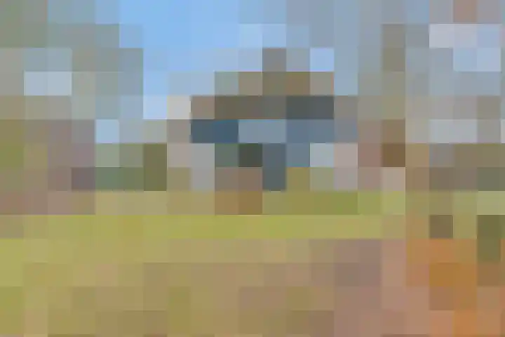 Reestweg 2 Drogteropslagen thumbnail 45