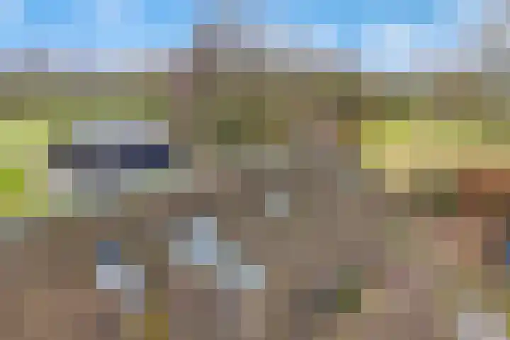 Reestweg 2 Drogteropslagen thumbnail 47