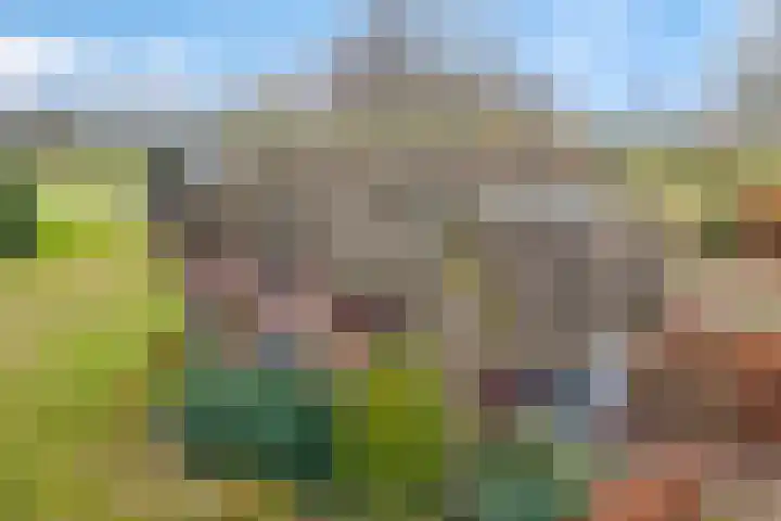 Reestweg 2 Drogteropslagen thumbnail 48