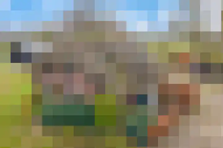Reestweg 2 Drogteropslagen thumbnail 49