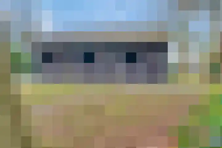 Reestweg 2 Drogteropslagen thumbnail 5