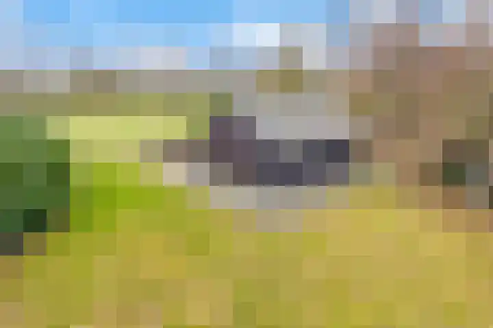Reestweg 2 Drogteropslagen thumbnail 50