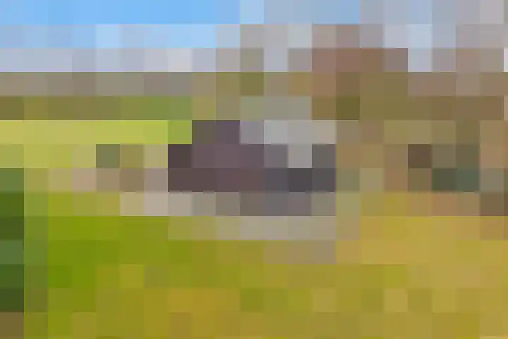 Reestweg 2 Drogteropslagen thumbnail 51