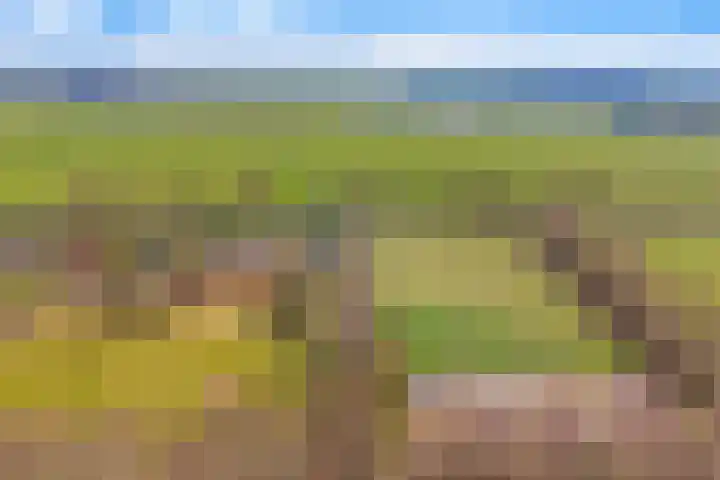 Reestweg 2 Drogteropslagen thumbnail 6