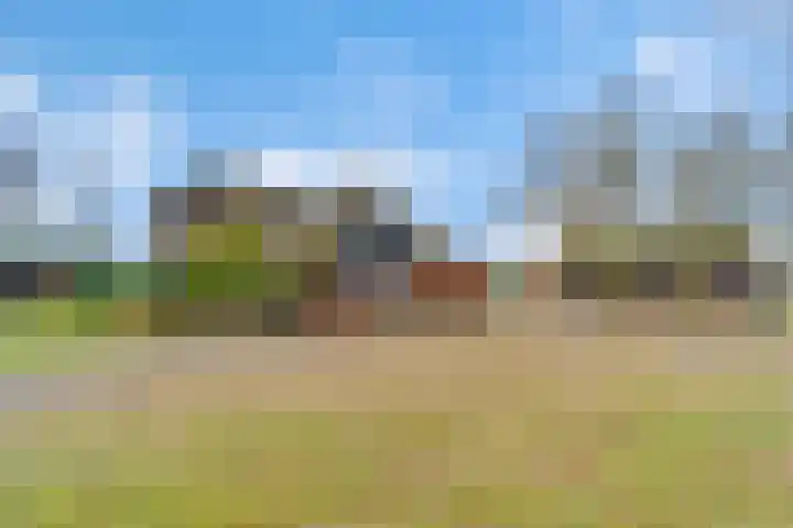 Reestweg 2 Drogteropslagen thumbnail 8