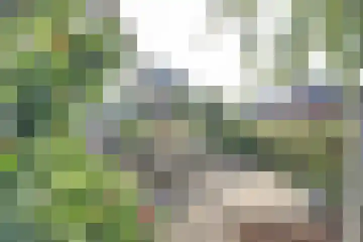 Reesveld 1 Reeuwijk thumbnail 39