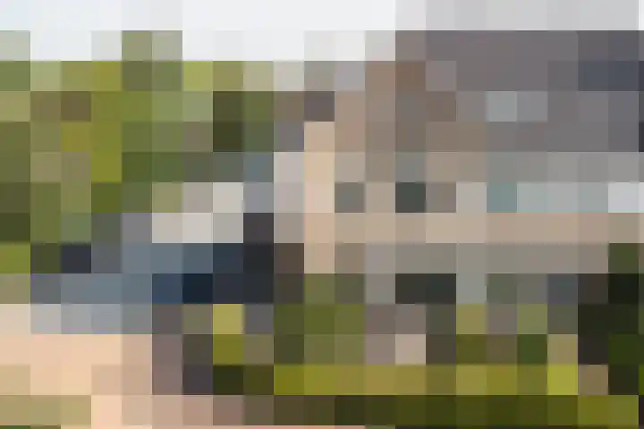 Reesveld 1 Reeuwijk thumbnail 4