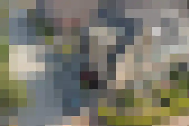 Reesveld 1 Reeuwijk thumbnail 40