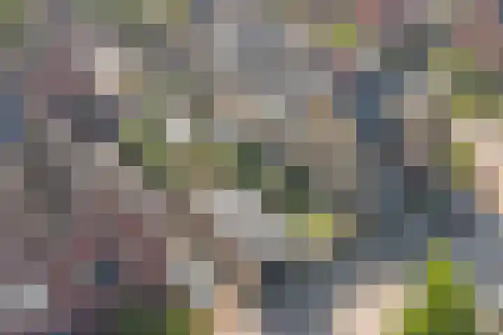 Reesveld 1 Reeuwijk thumbnail 41