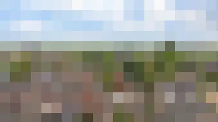 Reesveld 1 Reeuwijk thumbnail 44