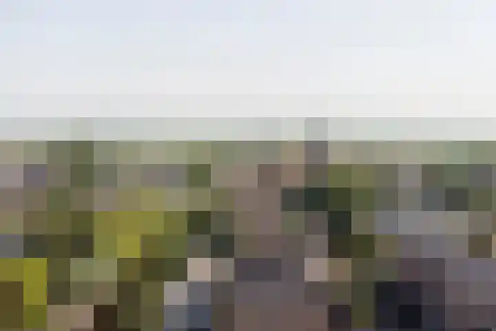 Reesveld 1 Reeuwijk thumbnail 46