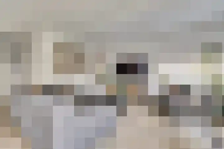 Reesveld 1 Reeuwijk thumbnail 7