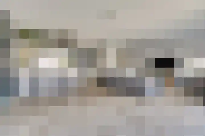 Reesveld 1 Reeuwijk thumbnail 9