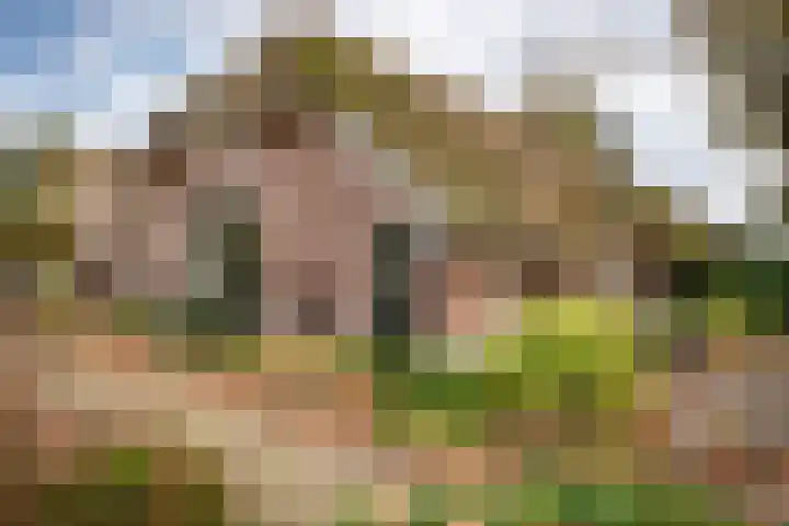 Reesweg 1 A Elburg thumbnail 16