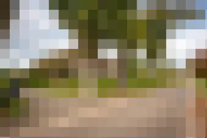 Reesweg 1 A Elburg thumbnail 21