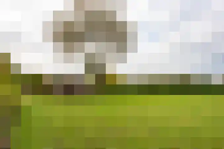 Reesweg 1 A Elburg thumbnail 27