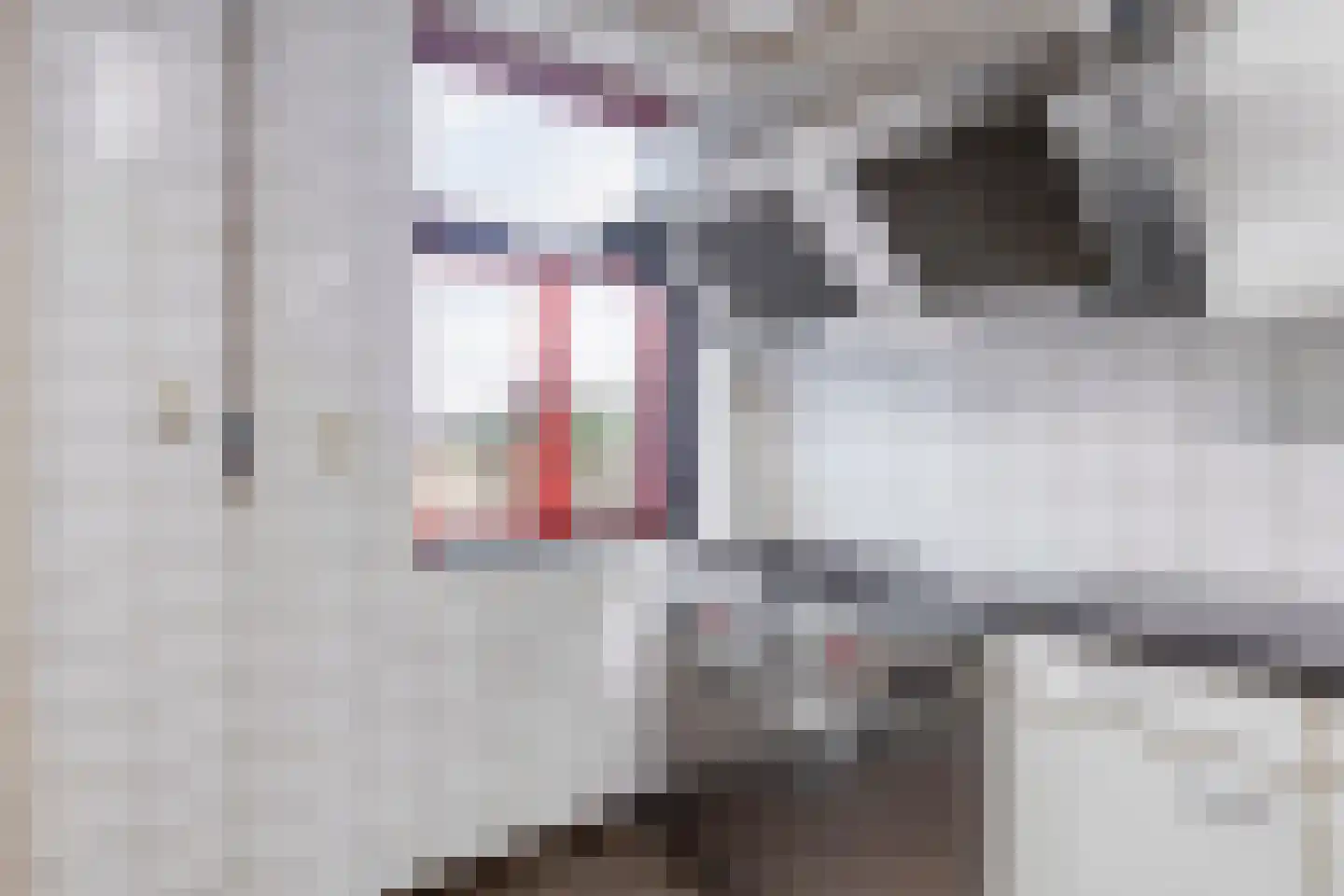 Reethsestraat 2 Valburg thumbnail 31