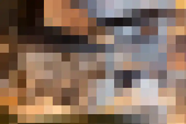 Reethsestraat 2 Valburg thumbnail 32